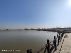 -盐城丹顶鹤湿地生态旅游区