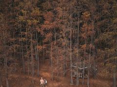 -青龙山国家森林公园