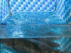 -野渡坡·极致湘菜·庭院餐厅(汉阳店)