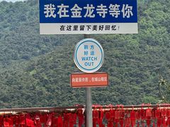 -金龙寺国家森林公园