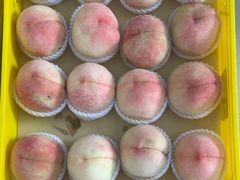 -老袁家蜜桃农场·阳山水蜜桃