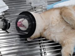 -荔康动物医院(康王北路店)