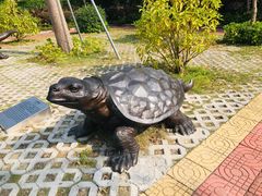 -广东惠东海龟国家级自然保护区