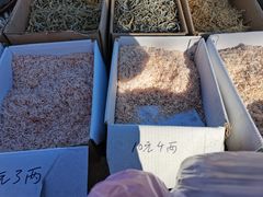 -蒲河大集