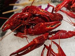 -京悦南门涮羊肉·羊蝎子火锅(田林路店)
