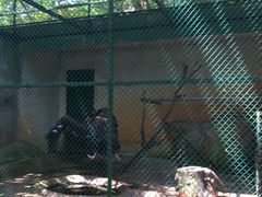 -广东茂名森林公园