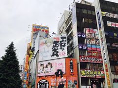 -秋叶原电器街
