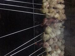 -永安烧烤