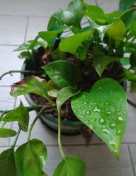 -后素孕产瑜伽·运动康复中心