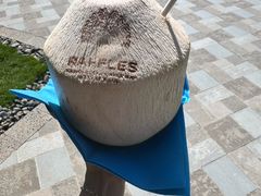 -海南清水湾莱佛士酒店