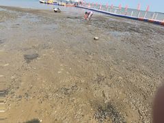-东疆理想海岸沙滩景区