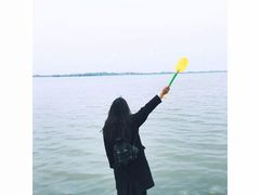 -瑶湖郊野森林公园