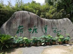 -荷塘月色湿地公园·向阳花洲