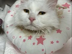 -美联众合动物医院·24h转诊中心