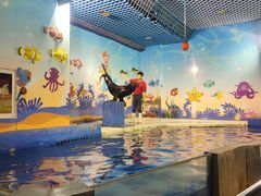 -太平洋海底世界