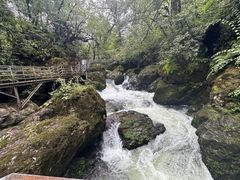 -龙苍沟森林公园