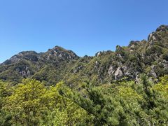 -王顺山国家森林公园