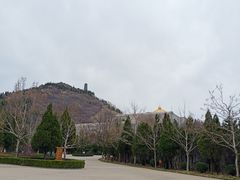 -龙口南山旅游景区