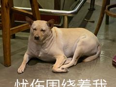 -Cactus墨西哥仙人掌餐厅