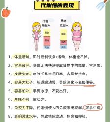-Fundi张玉珊修身堂·indiba·BTL科技瘦身
