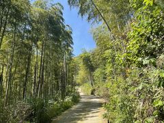-山沟沟景区