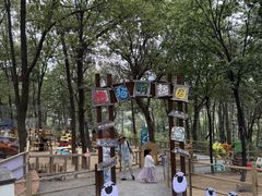 -沂蒙山旅游区云蒙景区(蒙山国家森林公园)