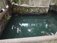 -墨池公园