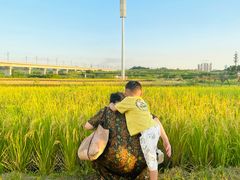 -光明小镇欢乐田园