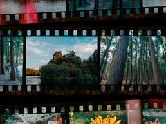 -上海共青森林公园