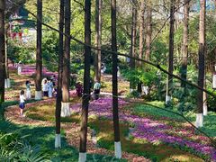 -忠山公园