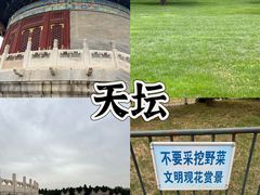 -运动派(北京店)