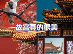 -故宫博物院(故宫)
