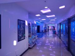 -金逸影城(明发店)