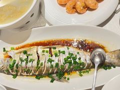 -金美华轩(东方路齐鲁店)