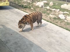 -西安秦岭野生动物园