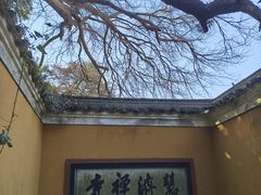 -普陀山风景区-佛顶山
