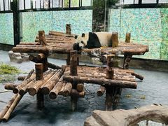 -上海野生动物园