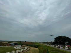 -空港花田景区