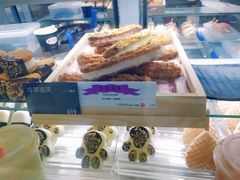 -野人先生现做冰淇淋(西安赛格店)