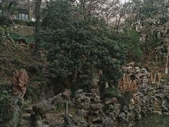 -伯先公园