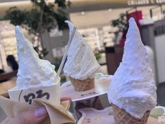 -野人先生Gelato(上海长宁龙之梦店)