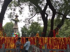 -大槐树寻根祭祖园