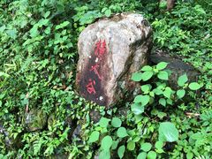 -石台牯牛降景区
