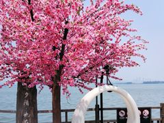 -东湖磨山景区