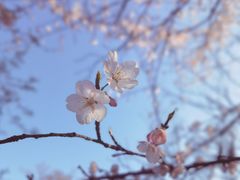 -杭州植物园