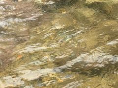 -安吉龙王山峡谷漂流