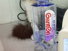 -达爱动物医院·犬猫分区·CT·复杂眼科(远洋山水分院)
