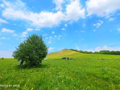 -塞罕坝国家级自然保护区