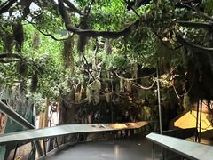 -武汉园博园(武汉自然博物馆)