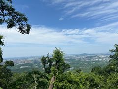 -紫金山山顶公园